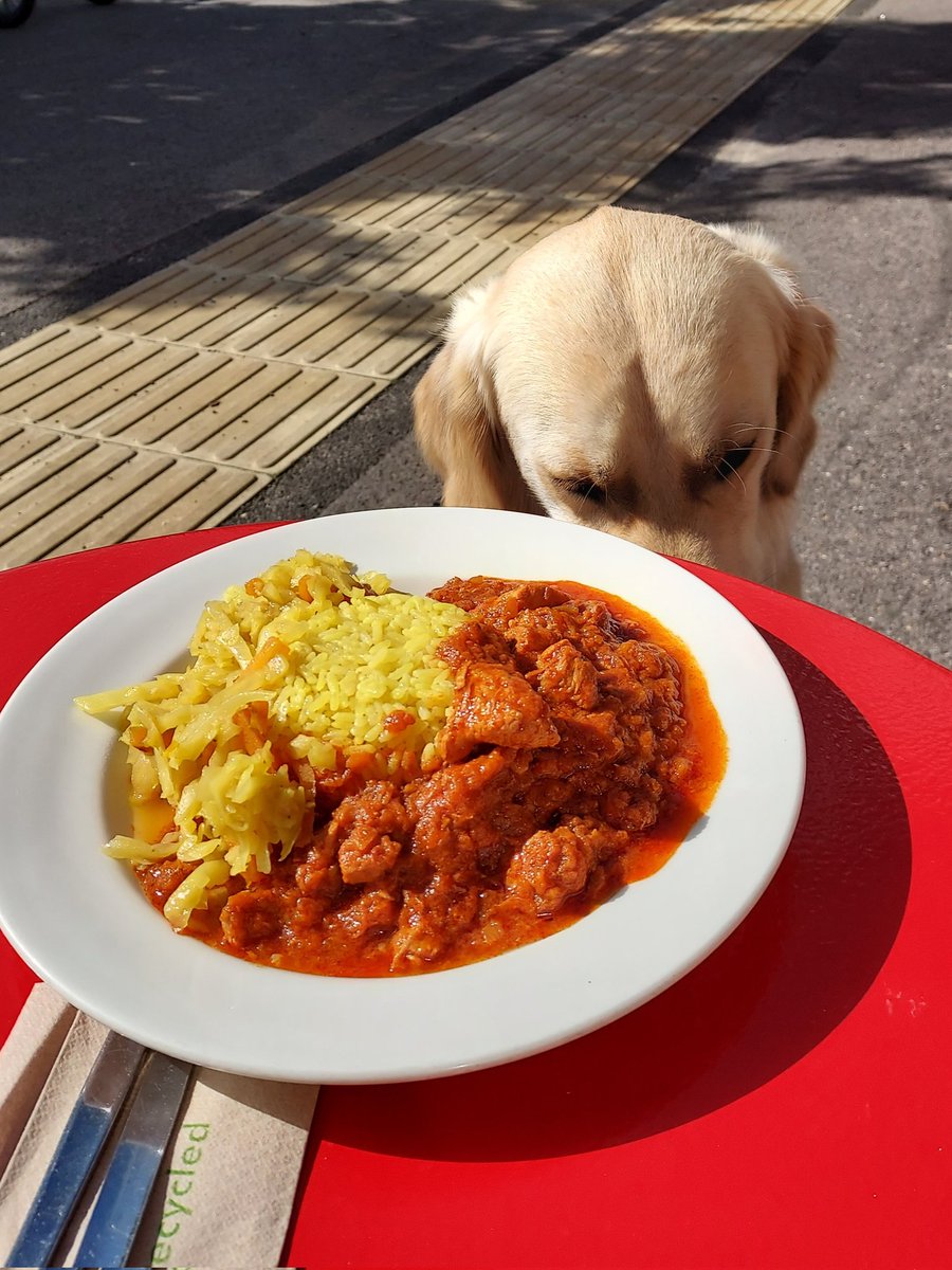 Barney, sorry it's not for you! #doglover #tutusethiopiantables #landoforigins #ethiopianfoodreading #ethiopiancuisine #readingcafe #readingfoodie #foodadventure #ethiopiandelights #ethiopianflavors #authenticeats #culturalcuisine #tasteofafrica #exoticeats #ethiopiandining