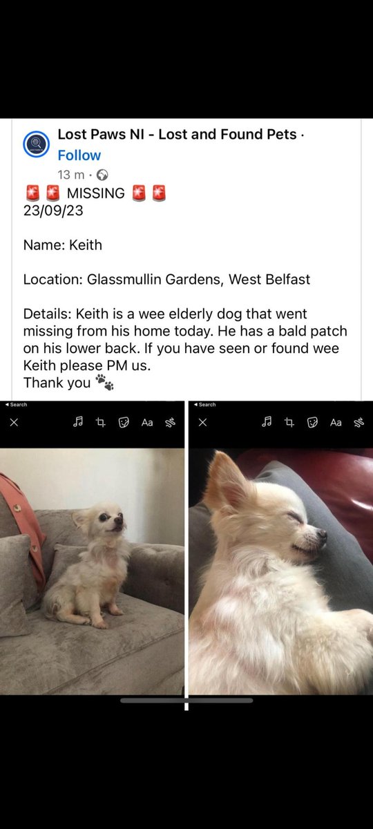 squinteratn's tweet photo. Wee guy's gone missing and a friend asked me to put this up. Appreciate any retweets to help get Keith home. Thanks, friends. https://t.co/vyvrvObdNE