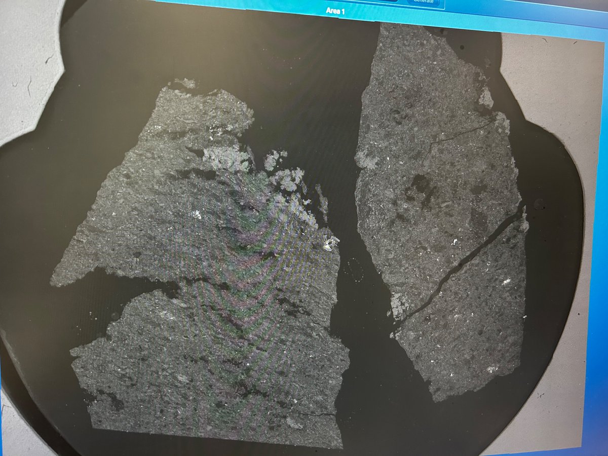 Dr. Hannah Elms tweet media