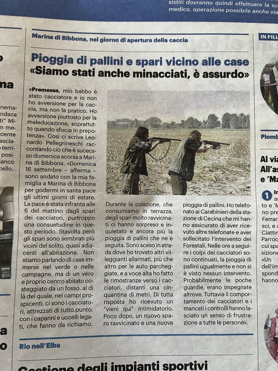 cecilia cecchi tweet media
