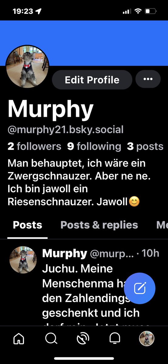 Murphy28947792's tweet photo. Ich hab nen Dings für sonen Himmel von der Menschenma geschenkt bekommen. Also falls wer schon da ist😇 https://t.co/Jz5ONr9A9z
