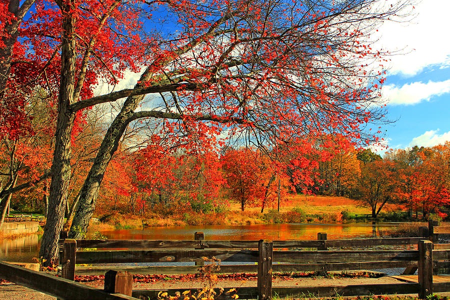 Fall. #Fall #Autumn #AutumnEquinox