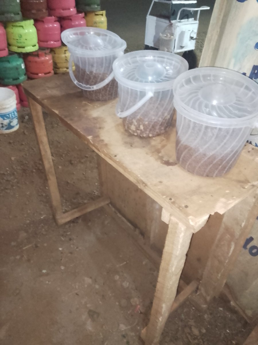 dcijuja's tweet photo. Walai kujieni hizi Cereals😭😭Nitapeleka wapi hii chakula zote please 🙏🙏 https://t.co/gKv4nLFFti