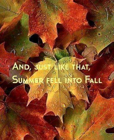 ShelleyGough1's tweet photo. Oh, how I welcome this fall weather! ๐๐This is how I know I'm getting older. Can't handle the heat like I used to. โ๏ธ ๐
#officiallyfall https://t.co/3VtUeENznx