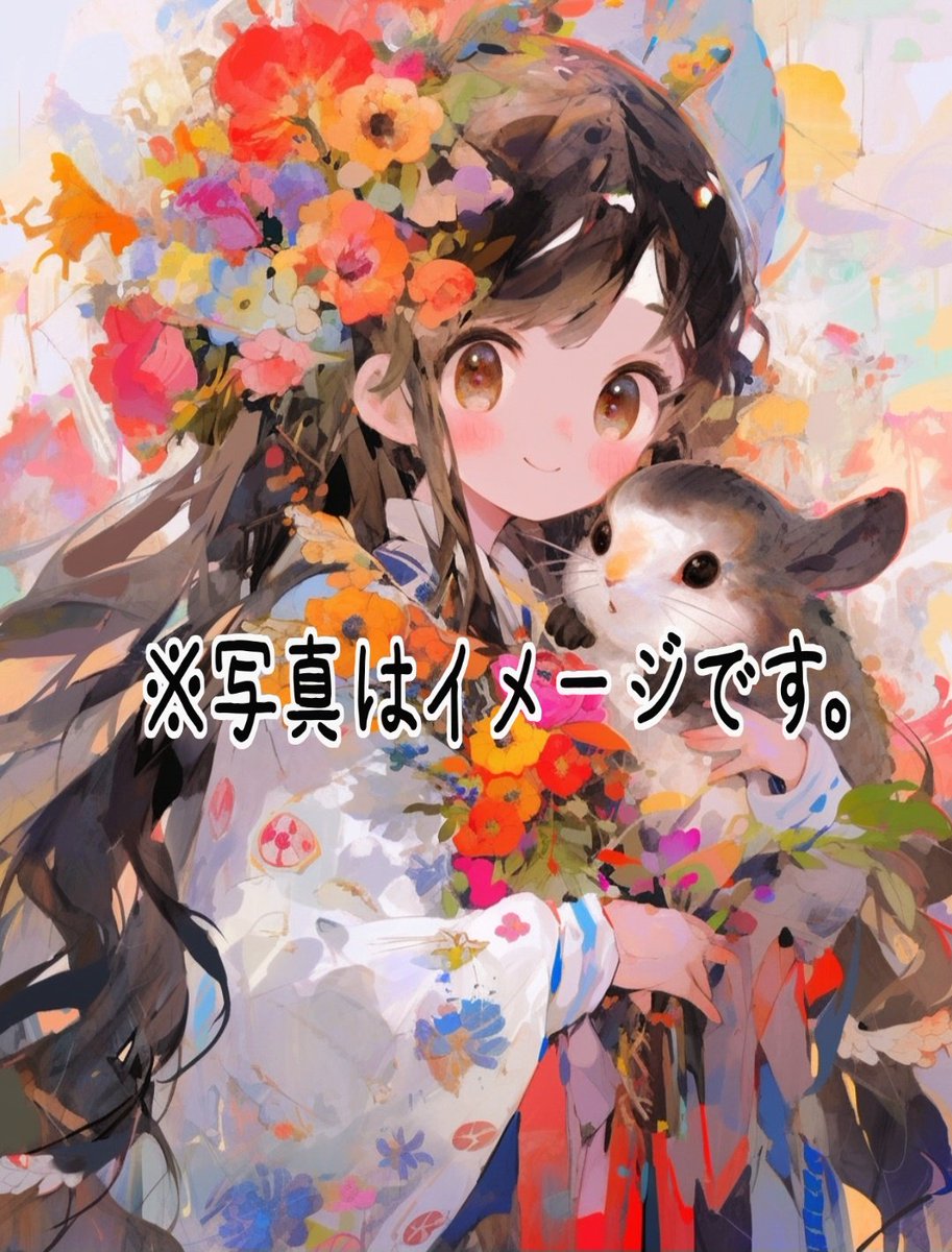 nagiferret's tweet photo. 【🌸真夜中フリーミント🌸】
久しぶりに、条件なしのフリーミント開催中です🌼✨
https://t.co/zFR8mK3TpO https://t.co/fseKWre2fr