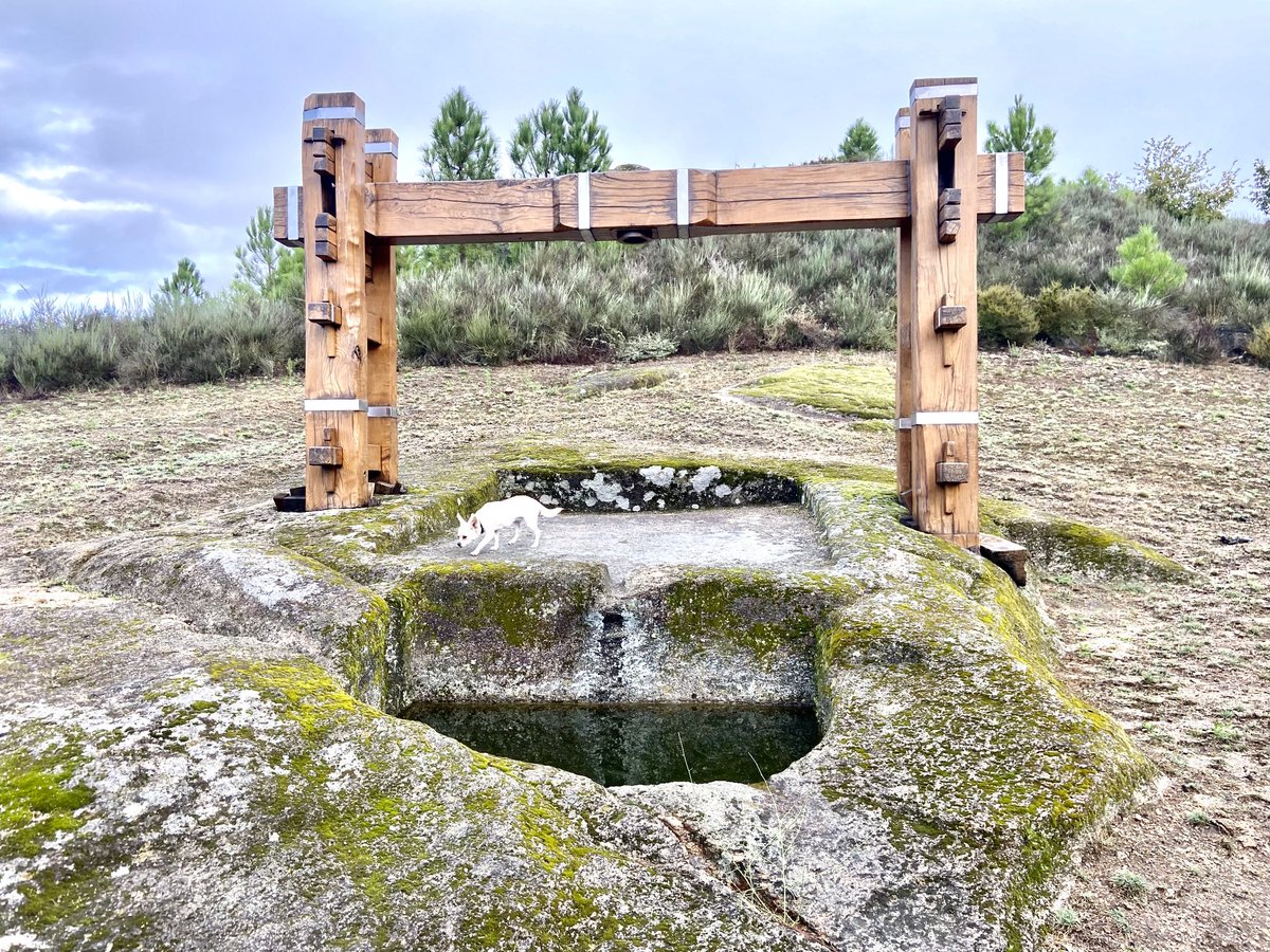 Lagar rupestre de Xan Petro en Oimbra. Cuna del vino gallego. Aquí empezó todo y hay que ver  en qué nivel se ha posicionado la ⁦<a href="/DOMonterrei/">D.O.Monterrei</a>⁩. Lo que se cuida adquiere un valor supremo. 
#culturayvino #Ourense #vinodegalicia #historia