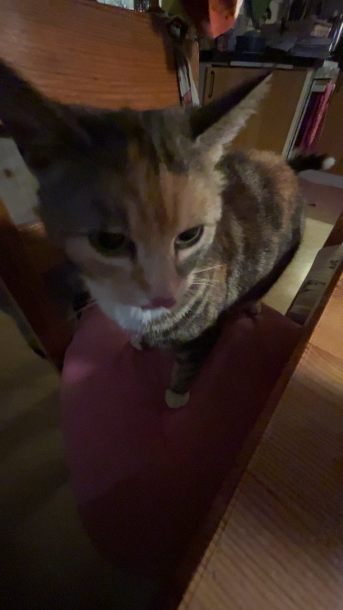 ispeychal's tweet photo. kisse misse https://t.co/tEK42Ak2bf