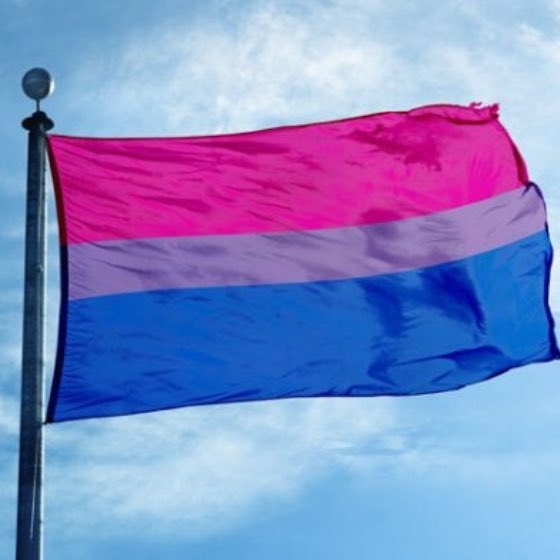 Happy #BiVisibilityDay #Bisexuality #CelebrateBisexualityDay !!!