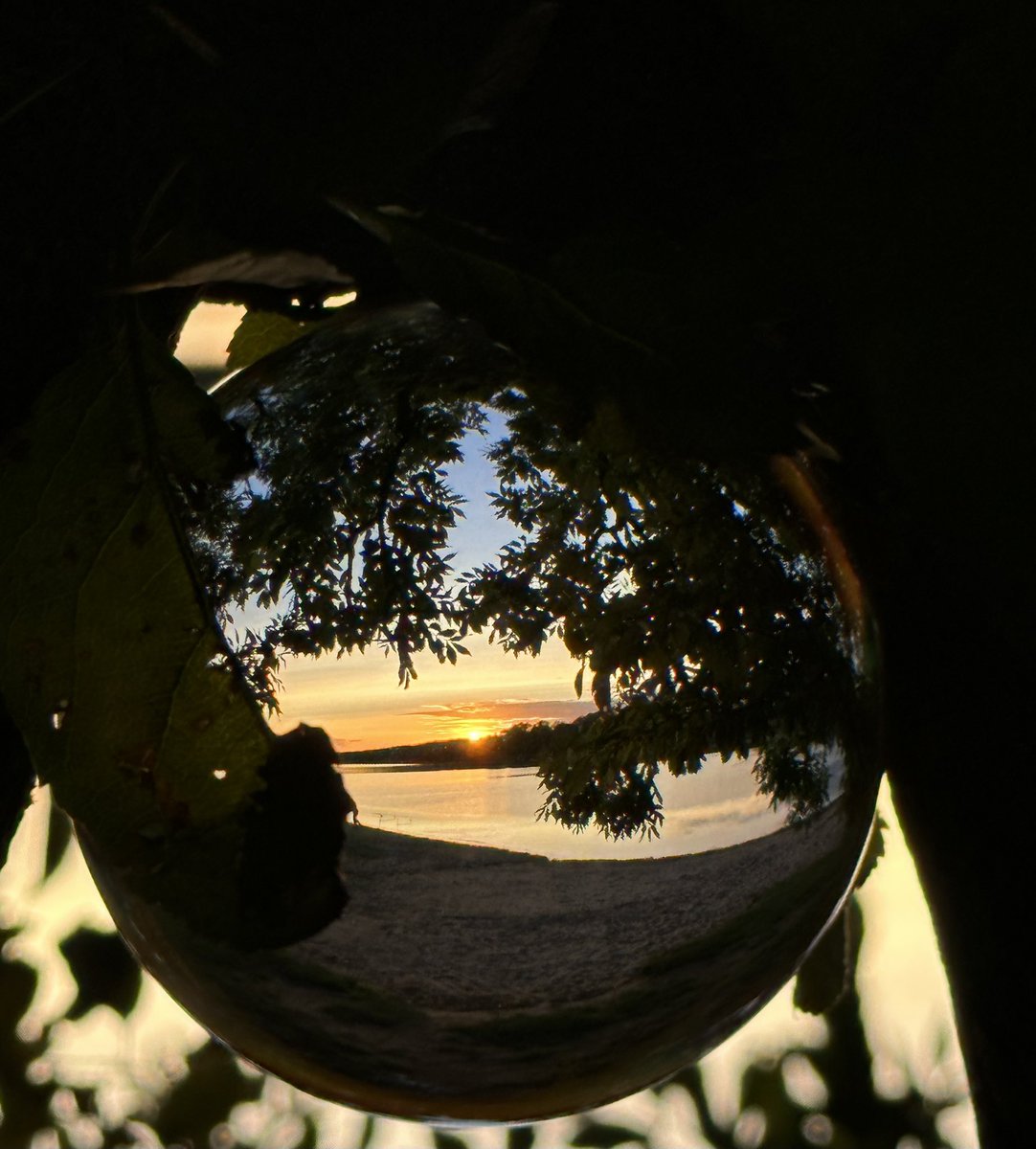 nettisteel's tweet photo. #NaturePhotography #Rothsee #Mittelfranken #Abendstimmung 💫✨ https://t.co/u5aCRGazUO