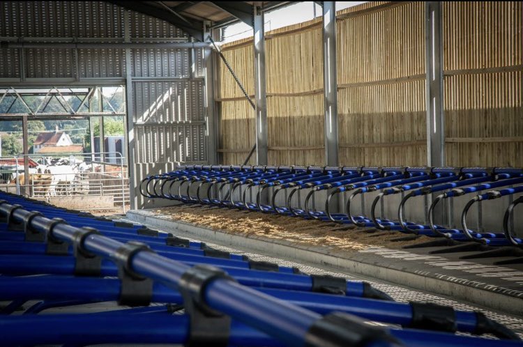 kiteconsulting's tweet photo. Super excited for this client (&amp; the cows!)….lots of planning &amp; hard work coming to fruition. New freestall unit with EasiFix beds &amp; loops #LoveCows #PeoplePlanetProfit https://t.co/PlOOtyk3At