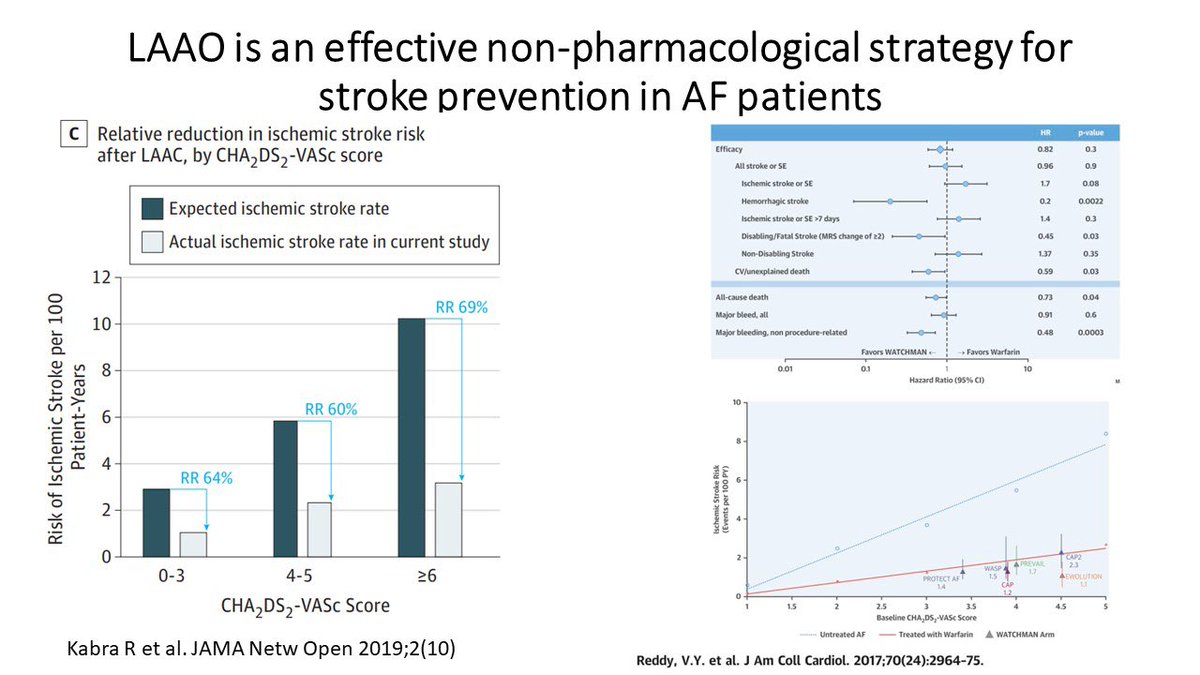 Rajesh Kabra (@rajeshkabramd) on Twitter photo LAA occlusion is a safe and effective non pharmacological strategy for stroke prevention in AF patients. #AtrialFibrillationAwareness <a href="/ACCinTouch/">American College of Cardiology</a> <a href="/ArunRSridhar/">Arun Sridhar</a> <a href="/DrRachitaEP/">Rachita Navara, MD FACC FHRS</a> <a href="/DrJCheungEP/">Jim Cheung</a> <a href="/KeepInRhythm/">Stavros Mountantonakis</a> <a href="/NazemAkoum/">Nazem Akoum</a> <a href="/KTamirisaMD/">Kamala Tamirisa MD</a> <a href="/MohitTuragam/">Mohit Turagam</a> <a href="/DrIjeEkeruo/">Ijeoma Ekeruo MD</a> <a href="/drrakeshg1/">Rakesh Gopinath</a> <a href="/PamelaMasonEP/">Pamela Mason</a> LAA occlusion is a safe and effective non pharmacological strategy for stroke prevention in AF patients. #AtrialFibrillationAwareness <a href="/ACCinTouch/">American College of Cardiology</a> <a href="/ArunRSridhar/">Arun Sridhar</a> <a href="/DrRachitaEP/">Rachita Navara, MD FACC FHRS</a> <a href="/DrJCheungEP/">Jim Cheung</a> <a href="/KeepInRhythm/">Stavros Mountantonakis</a> <a href="/NazemAkoum/">Nazem Akoum</a> <a href="/KTamirisaMD/">Kamala Tamirisa MD</a> <a href="/MohitTuragam/">Mohit Turagam</a> <a href="/DrIjeEkeruo/">Ijeoma Ekeruo MD</a> <a href="/drrakeshg1/">Rakesh Gopinath</a> <a href="/PamelaMasonEP/">Pamela Mason</a>