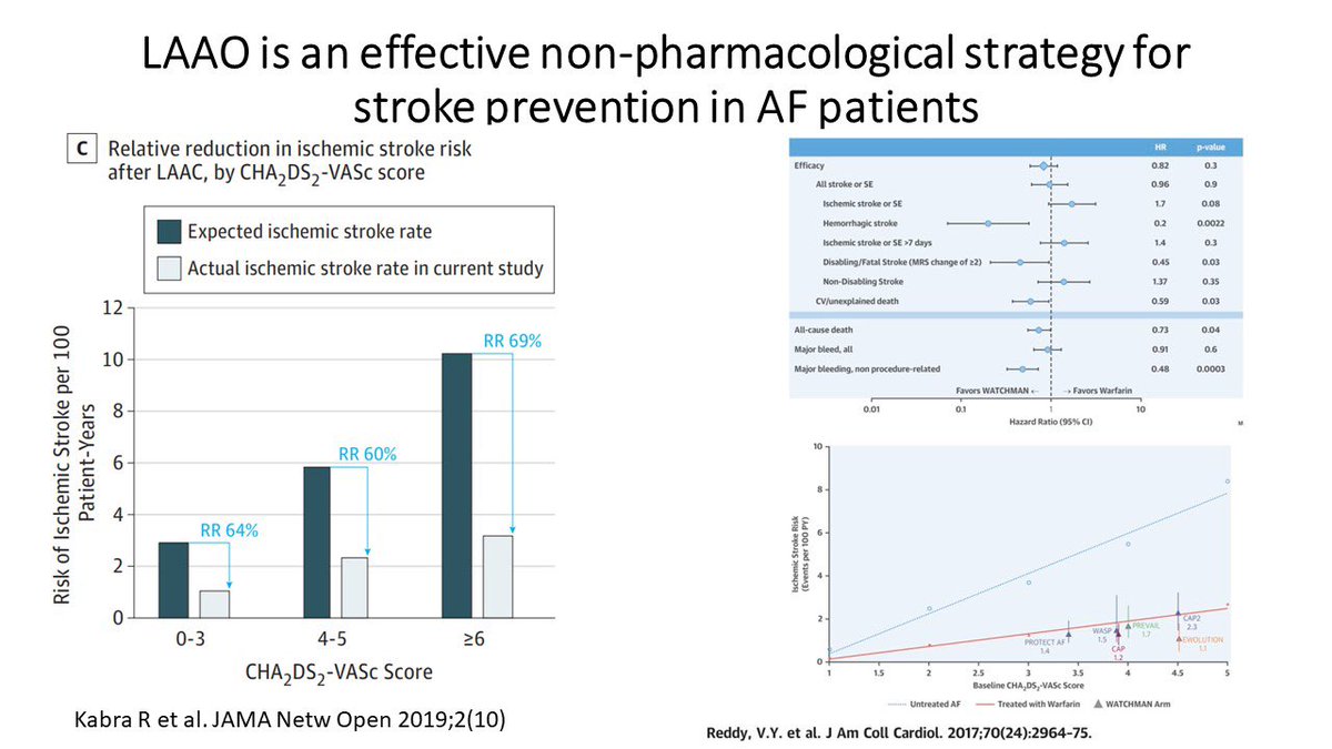 LAA occlusion is a safe and effective non pharmacological strategy for stroke prevention in AF patients. #AtrialFibrillationAwareness @ACCinTouch @ArunRSridhar @DrRachitaEP @DrJCheungEP @KeepInRhythm @NazemAkoum @KTamirisaMD @MohitTuragam @DrIjeEkeruo @drrakeshg1 @PamelaMasonEP