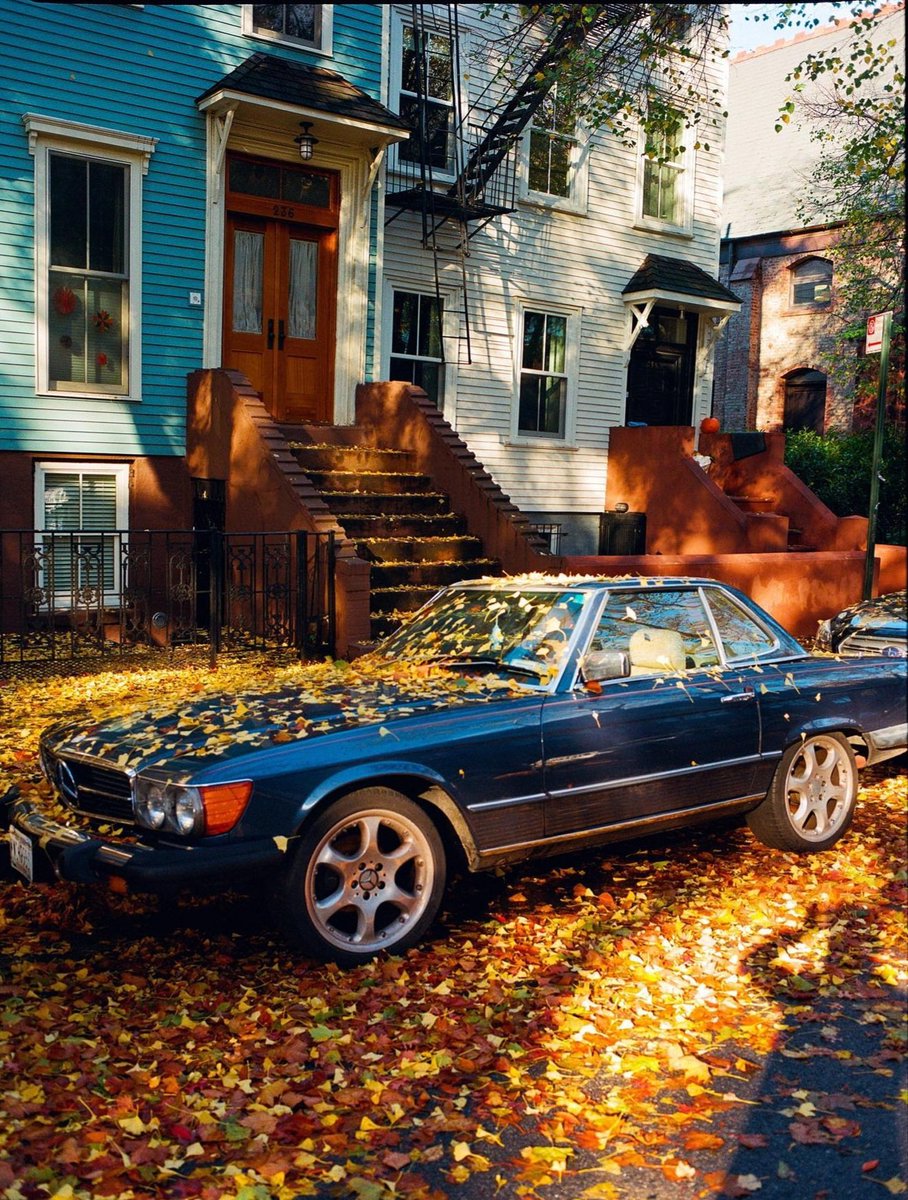 Demain...

Le rendez-vous des feuilles d'automne...

📷 Oscar Diaz