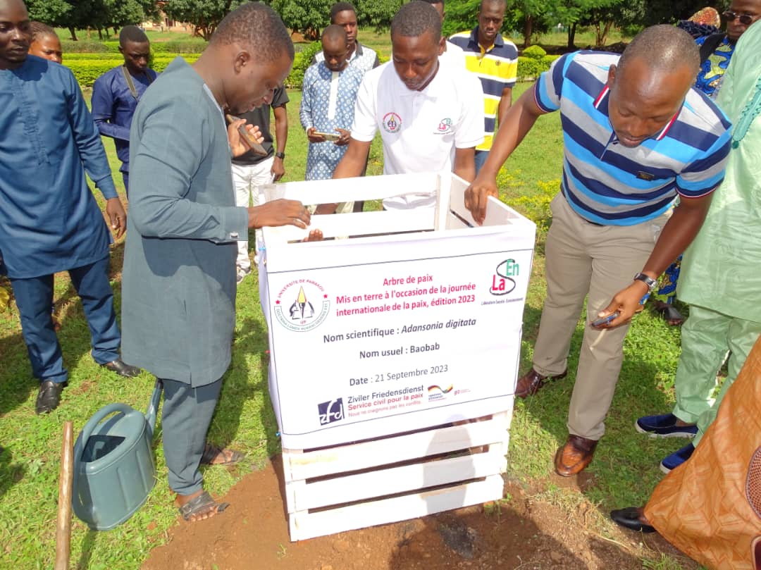 MahugnonNehemie's tweet photo. Ce 21 Septembre 2023, nous avons célébré la Journée Internationale de la #Paix à l'Université de Parakou en présence de la #giz, de la #zfd et des enseignants chercheurs et les Acteurs de la Société Civile. 
Un arbre de la paix a été mis en terre. https://t.co/0yeRcAE4MD