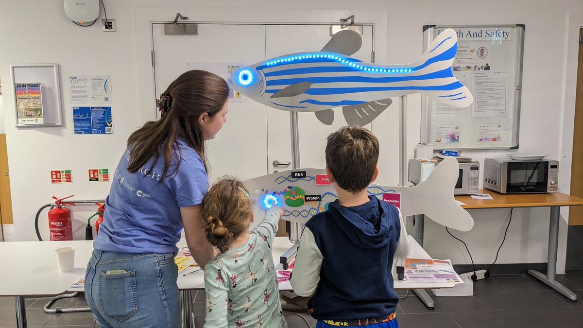 CharliCorcoran's tweet photo. The kids had fun exploring the dark genome zebrafish today at @EdinUni_IGC doors open day with @ModelZebrafish and @_grace_alston https://t.co/9bi3KZAhXl