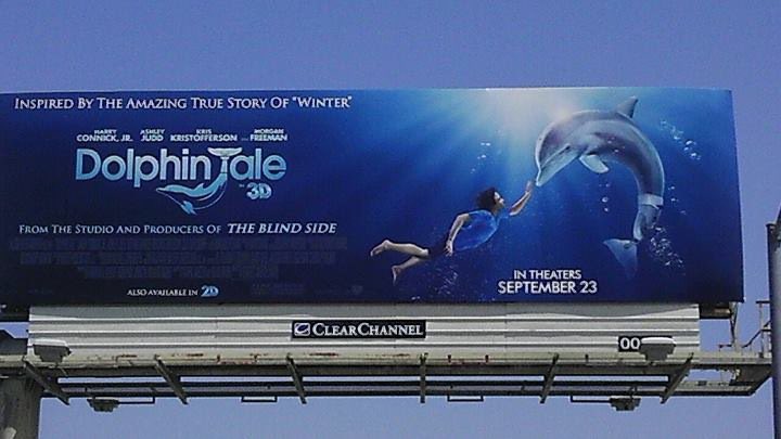 dolphintale's tweet photo. Dolphin Tale opened 12 years ago today. We’re eternally grateful that our little film has touched the hearts and lives of so many of you around the world. Thank you for your continuing support. https://t.co/fiOYcXYyY6
