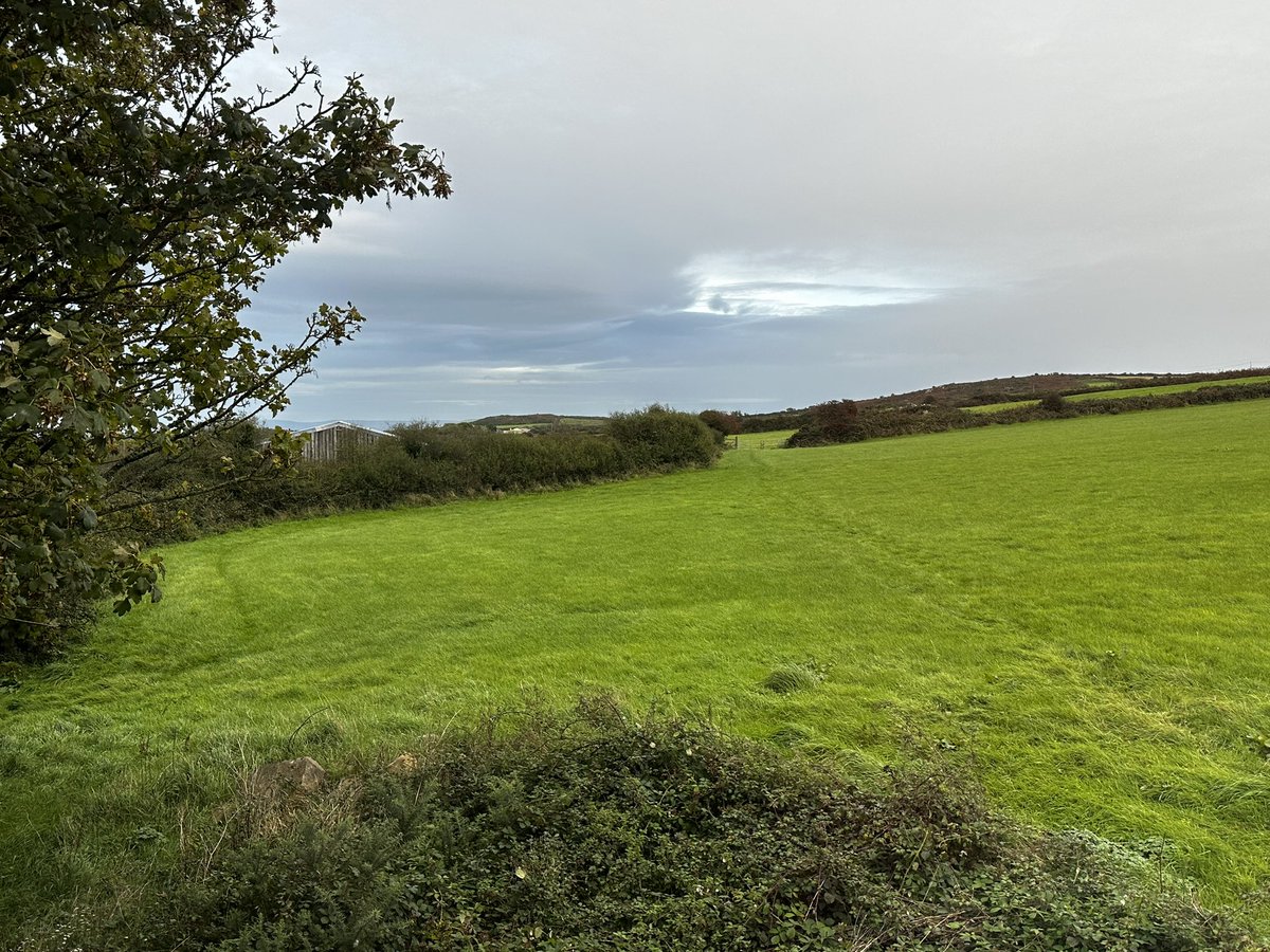 oliverhp's tweet photo. Great little footpath view from the Airbnb 🙂 https://t.co/9Yqn7jaE1E