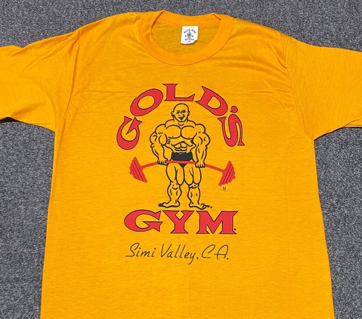 trustfilms's tweet image. FAVOURITE T SHIRTS. No 1. The iconic golden 'GOLDS GYM' shirt. Arnold made this famous in #pumpingiron  way back in #1977 . I wear it when training and when not training !

@schwarzenegger @goldsgym #gym #bodybuilding #bodybuildinglifestyle #california #losangeles #venicebeach