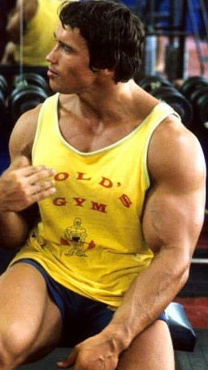 trustfilms's tweet image. FAVOURITE T SHIRTS. No 1. The iconic golden 'GOLDS GYM' shirt. Arnold made this famous in #pumpingiron  way back in #1977 . I wear it when training and when not training !

@schwarzenegger @goldsgym #gym #bodybuilding #bodybuildinglifestyle #california #losangeles #venicebeach
