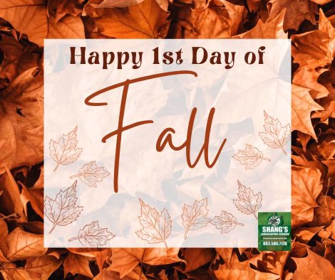 ShangsLS's tweet photo. It’s beginning to look a lot like FALL!  Shang’s Landscaping is looking forward to FALL-ing into the next season. We hope you enjoy the sweater weather, leaves changing, and all of the fall activities. 

Happy Fall Y’all! 🍁 🍂🍁🍂🍁 https://t.co/IN57h2nZh6