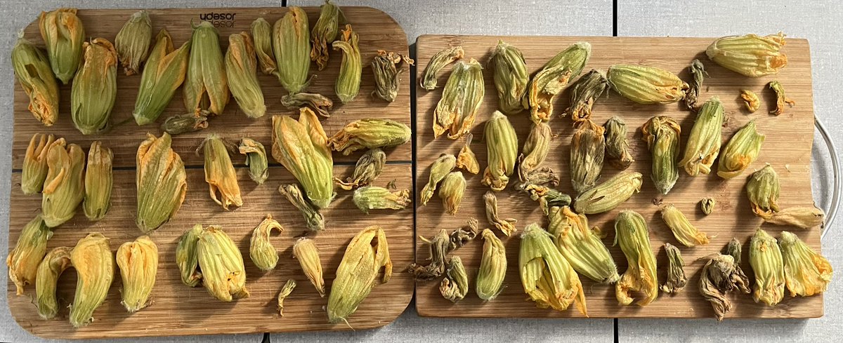 Dr Nord Sud tweet media