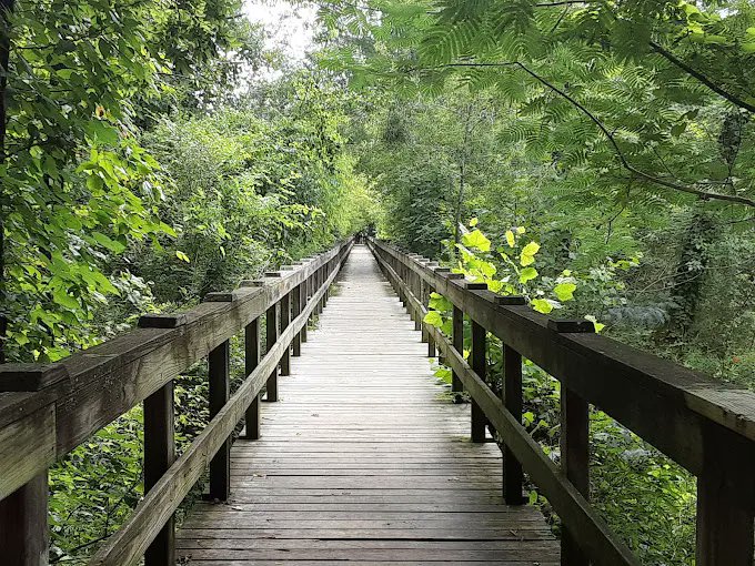 Our Tourism Partner of the Month is the Chief Richard Taylor Nature Trail at 321 Emberson Drive in Ringgold. With the nice weather, this is the perfect place for a walk!
.
#CatoosaConnects #TourismPartnerOfTheMonth #NothinLikeRInggold