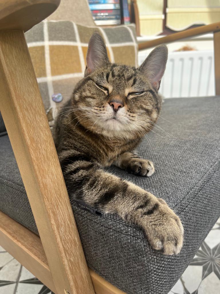 Jon Shaw 🇺🇦🇺🇦🇺🇦🇺🇦🇺🇦 tweet media