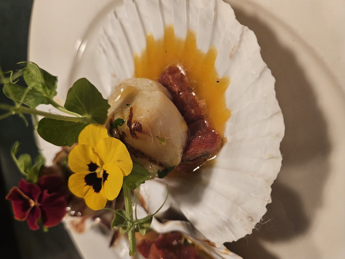 chris collins tweet media