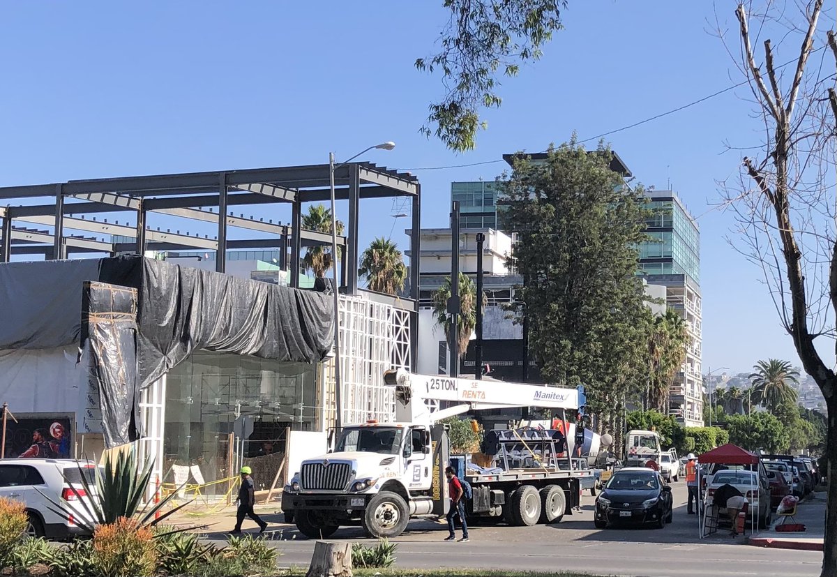 PAG_BC's tweet photo. Los árboles no siempre mueren de pie!
En Tijuana , no tenemos respeto por ninguna vida.  Árbol sano  con la misma edad del @GrupoTERSA 
urge una @LandRover  , pero que respete!  
R.I.P. Nuestro Gran Árbol 
Vida x vida Rodrigo Valle Hernández!   El de boina finado hace unas 72hrs https://t.co/yxWqi3Kt91