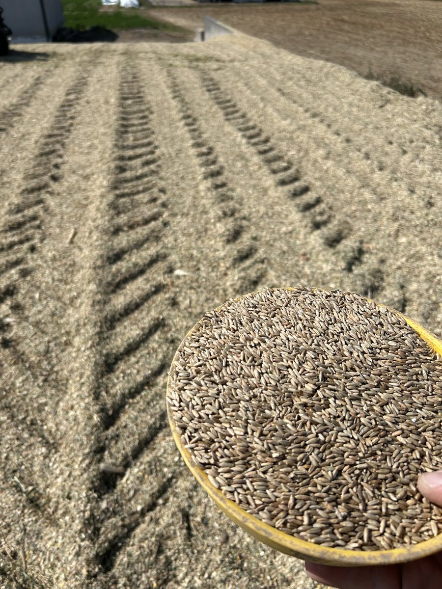 Josh Butler tweet media