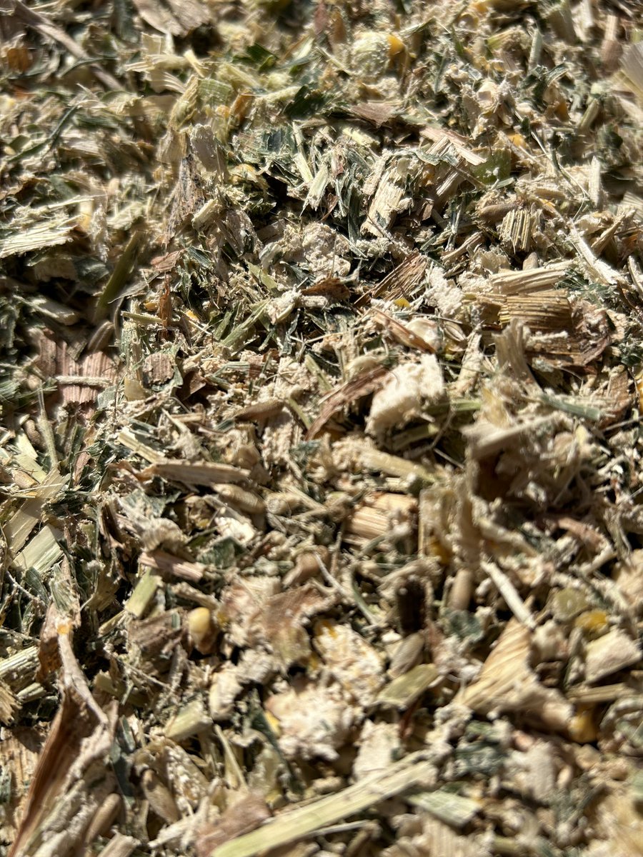 Josh Butler tweet media