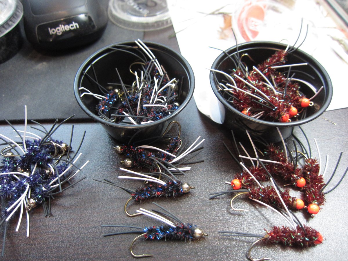 RogueGuiden's tweet image. Rogue River Carpetbagger Stonefly Nymphs Time to fly fish. #steelhead #MagicFly #RogueGuiden
