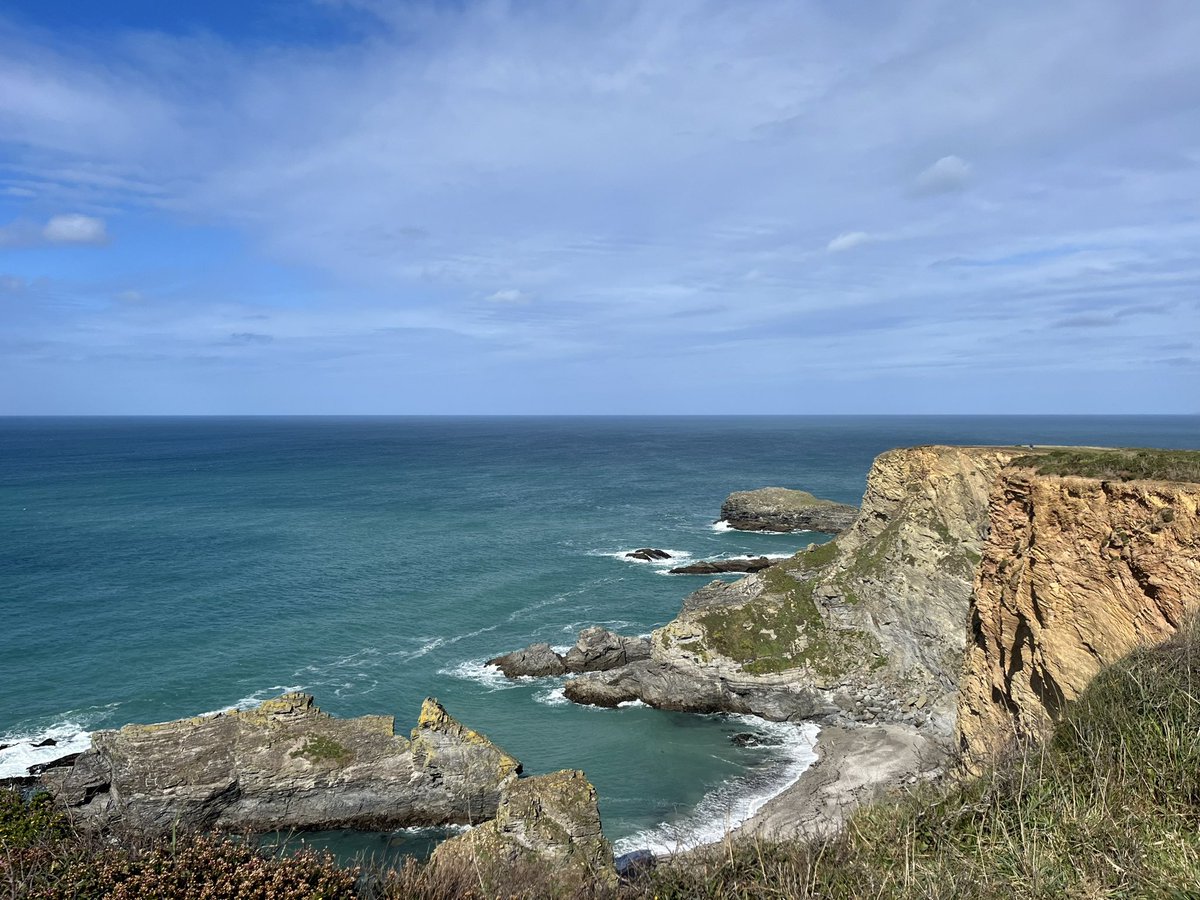 Becca Tanner tweet media