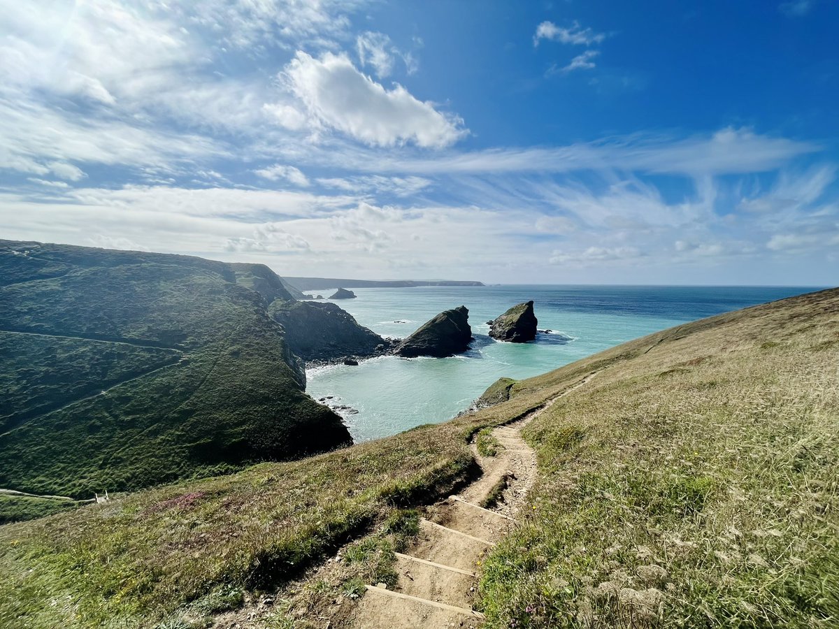 Becca Tanner tweet media