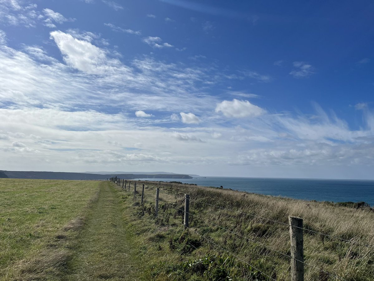 Becca Tanner tweet media