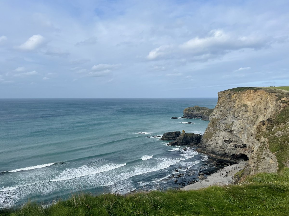 Becca Tanner tweet media