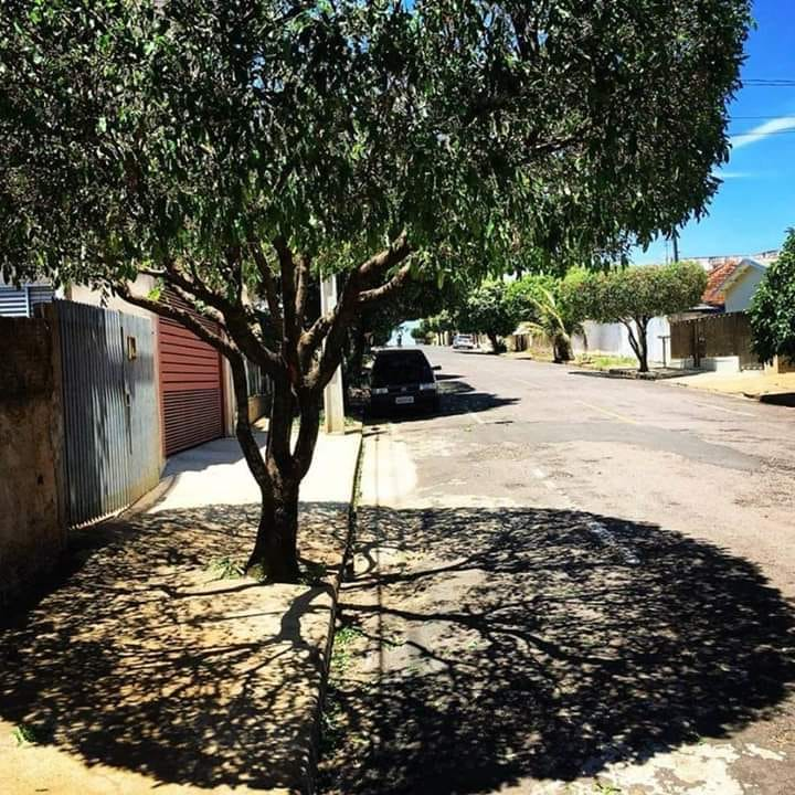 La sombra de este árbol parece una verdadera obra de arte 😍