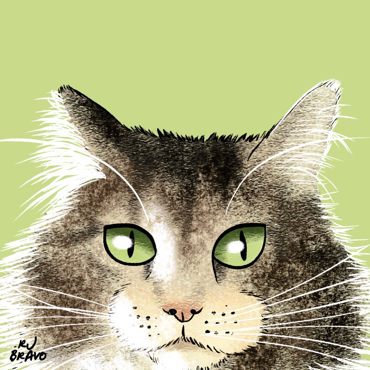 RJBravoArt's tweet photo. This week I did a pet portrait of Kitty who's sadly no longer with us... 💔Thank you for sending your picture @YegBonnie 

Post your pet photos below for a chance to get illustrated and featured next Saturday too! Please feel free to submit again if you have in the past.😊 https://t.co/XxQVkFc4lX