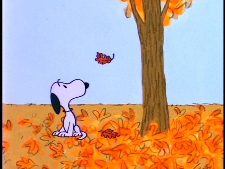 everyone say happy first day of fall to snoopy