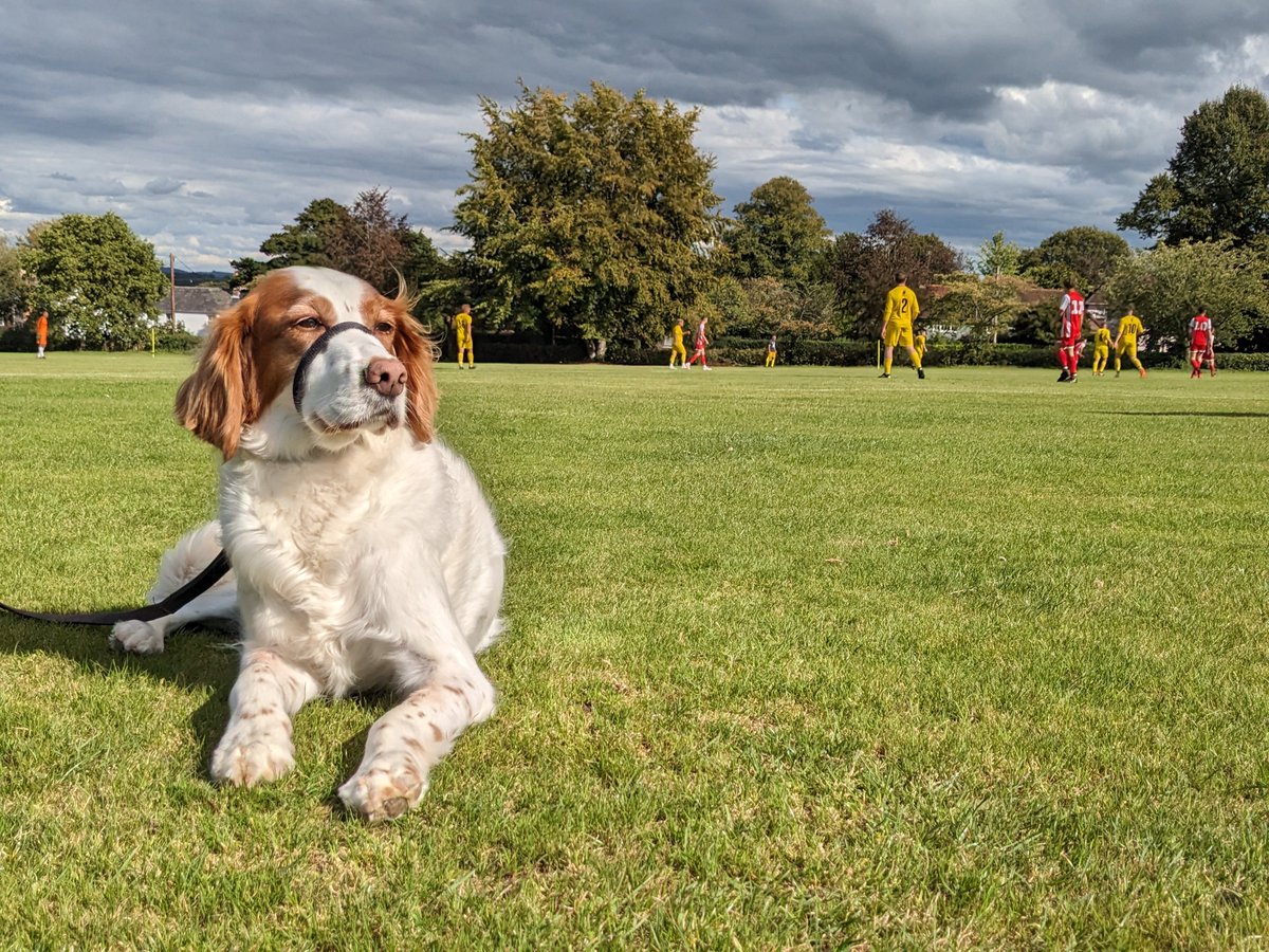 bodsworth_a's tweet photo. Well done @NewickFC a good win today 😄 https://t.co/tzUkqWCzXk