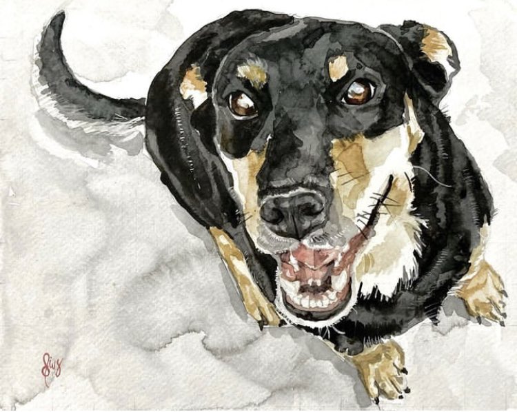 #DiaMundialDelPerroAdoptado

Si tu perro es adoptado, lo pinto en acuarela a un precio especial y con lo que se junte voy a esterilizar a los perros que pueda acá en el barrio! 🐕 🎨