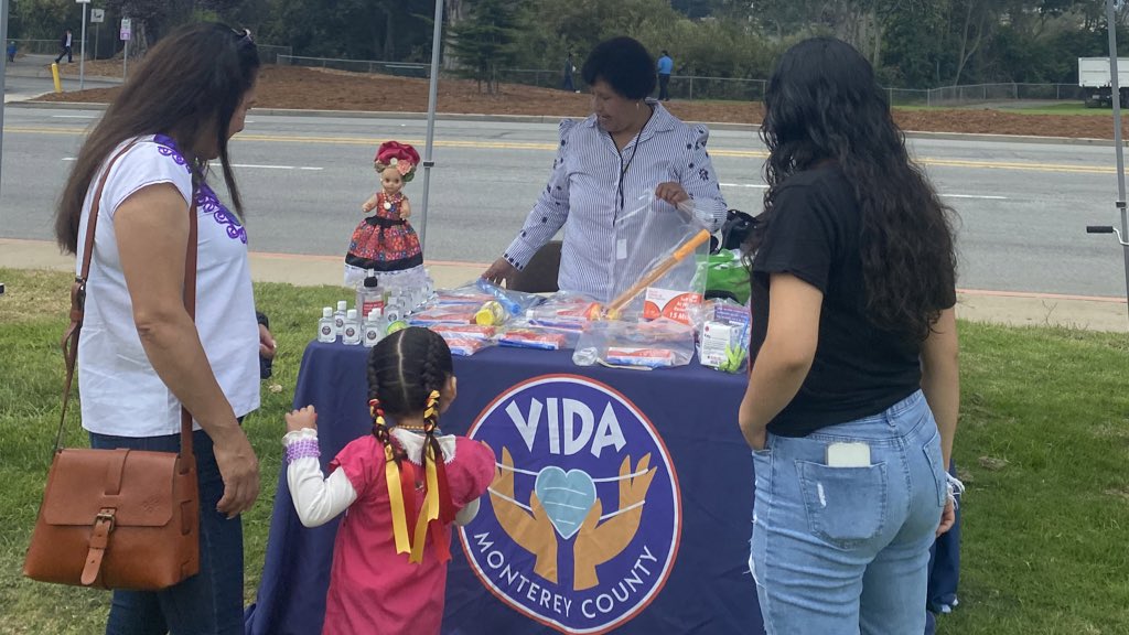 VIDA Project tweet media