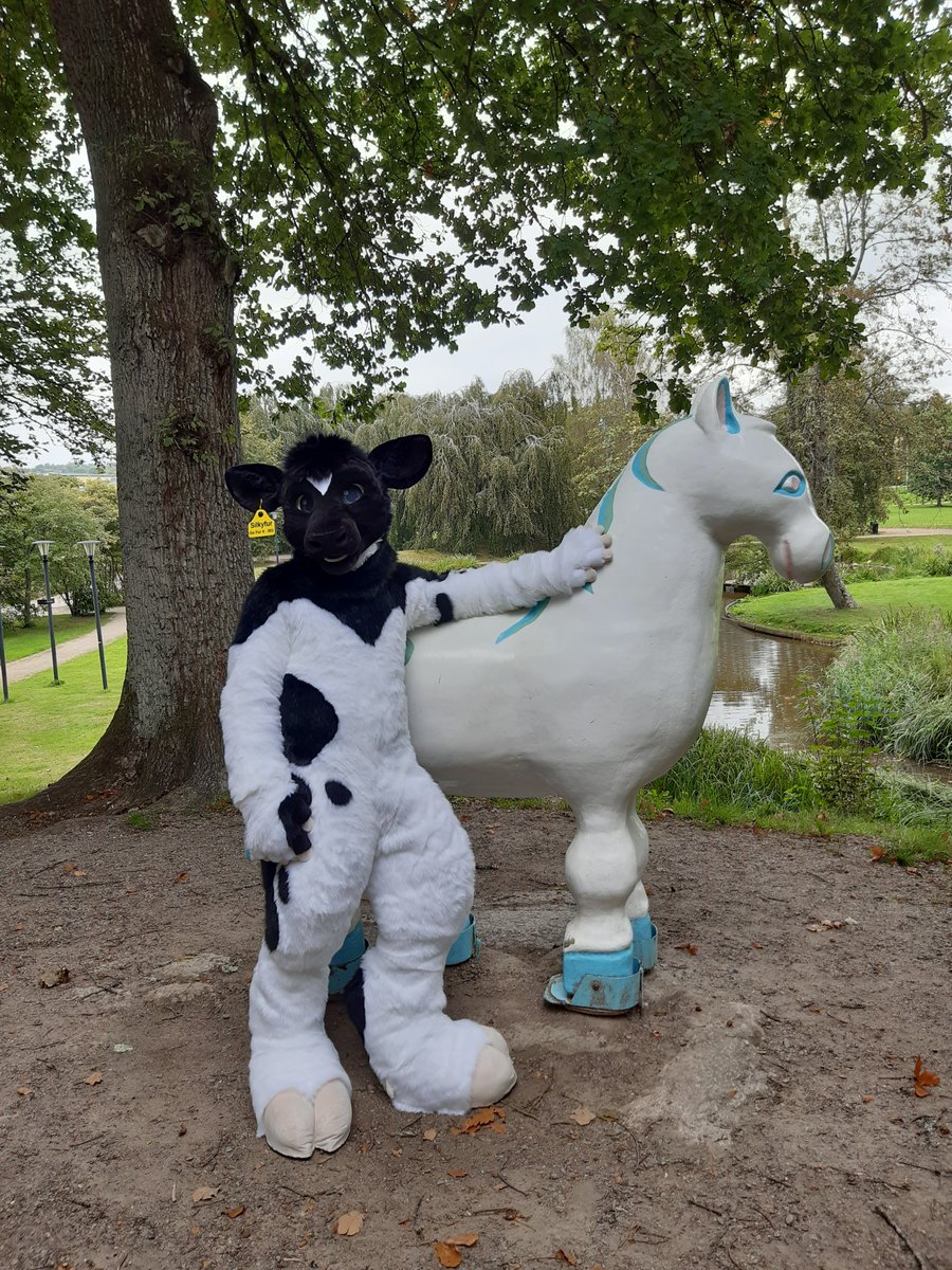 Silkyfur1's tweet photo. Today, I went for my first outdoors photoshoot with my brand new fursuit made by the wonderful @GoFurItstudios

Went to the town of Ronneby and met lots of people that wanted to talk, hug or take photos with the fluffy moo!  I had a great time.

Photos taken by @SanjiTanuki https://t.co/G87UC4AE9J