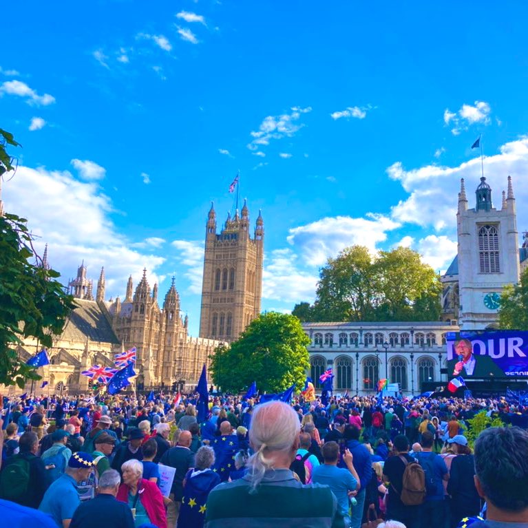 Brilliant day out in London today at #RejoinMarch #MarchforRejoin