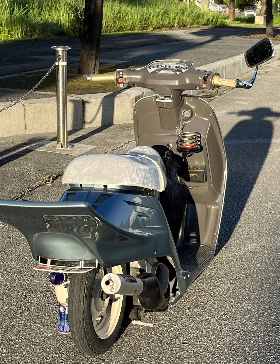 InRenoma's tweet photo. 2023年　原チャリでもCIMA"化"現象

31CIMA 後期色　
ライトブルーパールBJ8 ✖︎ブラウン内装色

ちょっと控えめだけどやる事やったオトナの"バッキン風紳士"fromオキナワ https://t.co/Qt2JgA3GIs