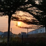 Photo by Hermini Yuliawati (@hermini79)