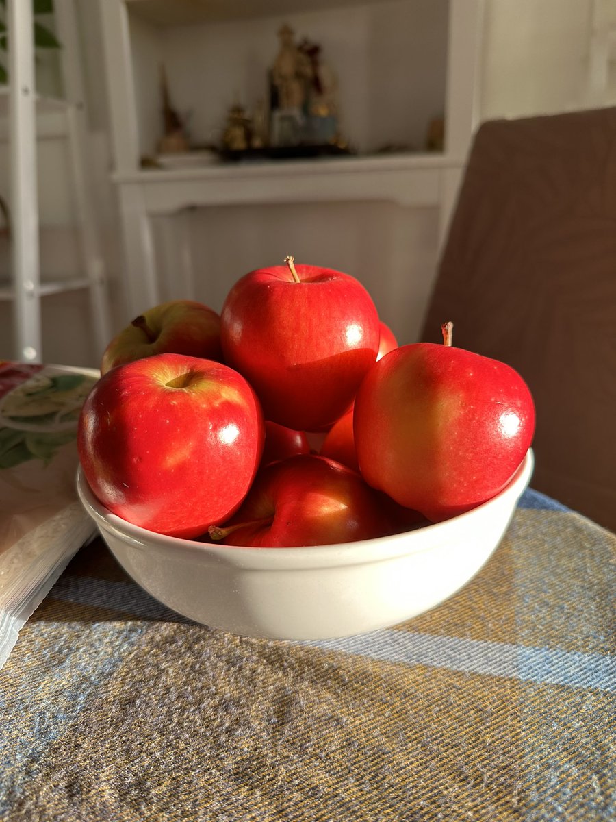 undertwotrees's tweet photo. May an abundance of beauty bless your senses for all of your days. Have a blissful New Moon to all. https://t.co/MiV8F863bU