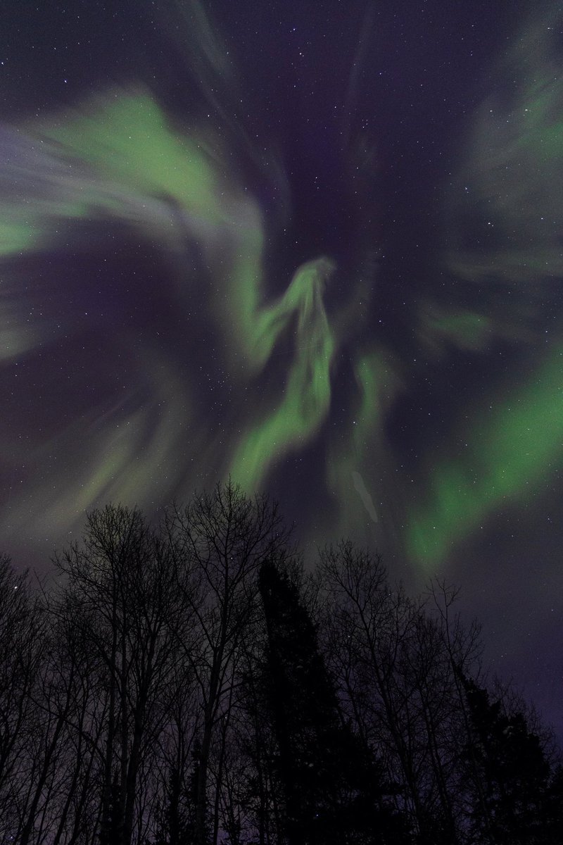 Bri 🖤 tweet media