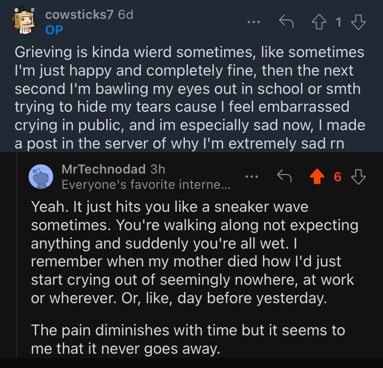 technodadreddit's tweet photo. Grieving https://t.co/DcfsKimwKM