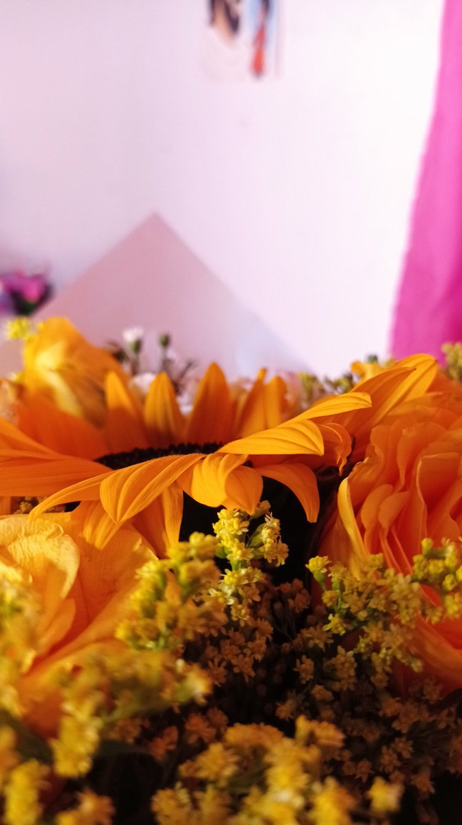 PatyMedinaoff's tweet photo. Bienvenida a la primavera de mi vida💛🌼 https://t.co/cXrbAoYTJL